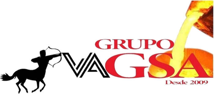 Grupo VAGSA, desde 2009